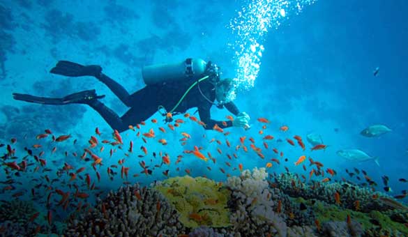 Lakshadweep Tour Packages