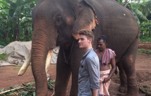 Visit Elephants in Kerala