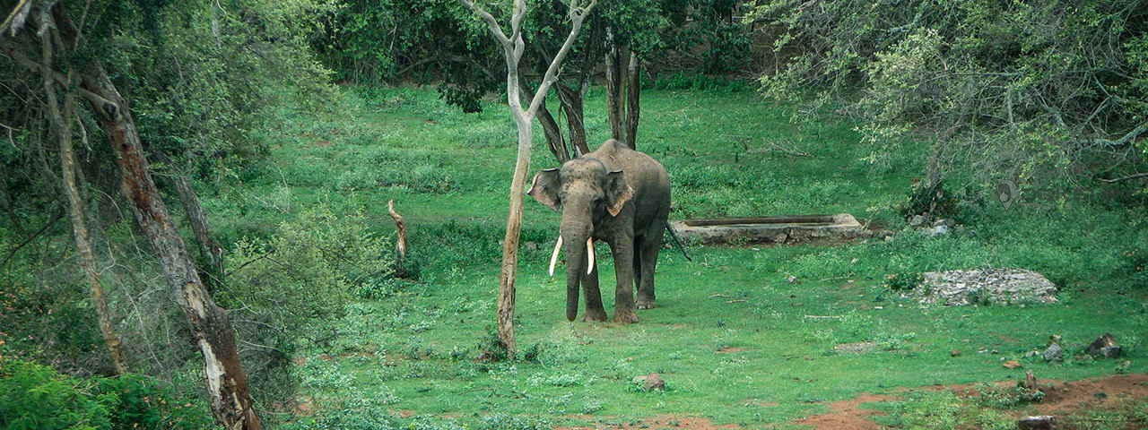 Karnataka