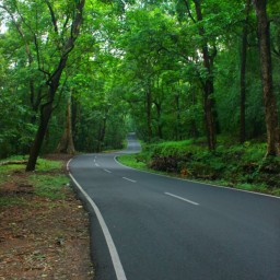 South India Cycling Tours