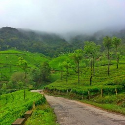 South India Motor Cycle Tours