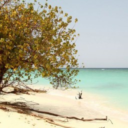 Lakshadweep Tour Packages