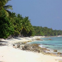 Lakshadweep Tour Packages