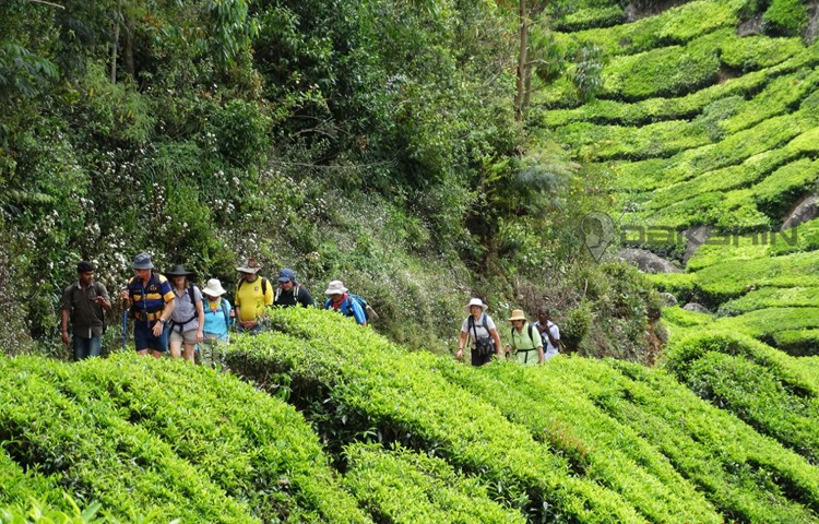 Kerala – Land & Water