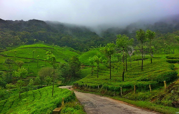 Motorcycle Tours – Kerala & Western Ghats