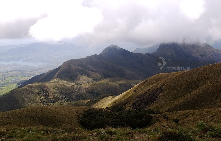Rhodo valley Camp & Meghamalai