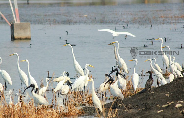 Birding  Tour –Through Three states