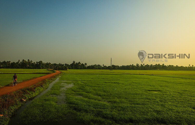 The Best of Kerala